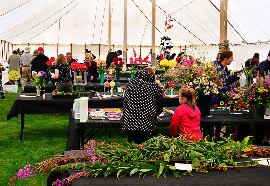  150th birthday Llanfyllin Show