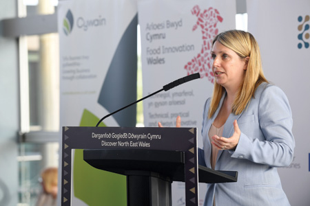 Discover North East Wales - AM Hannah Blythyn