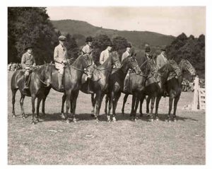 horse showing class at llanfyllin show