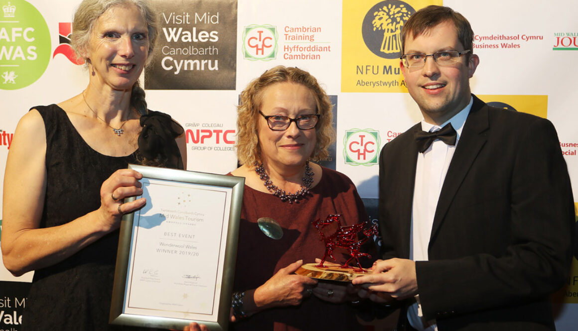 Wonderwool Wales