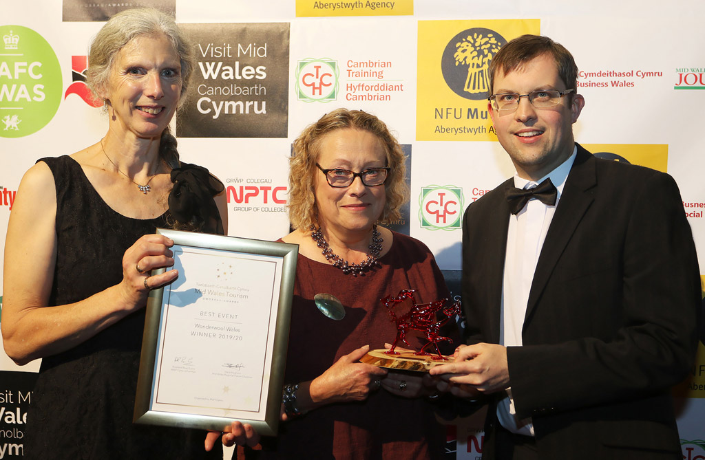 Wonderwool Wales
