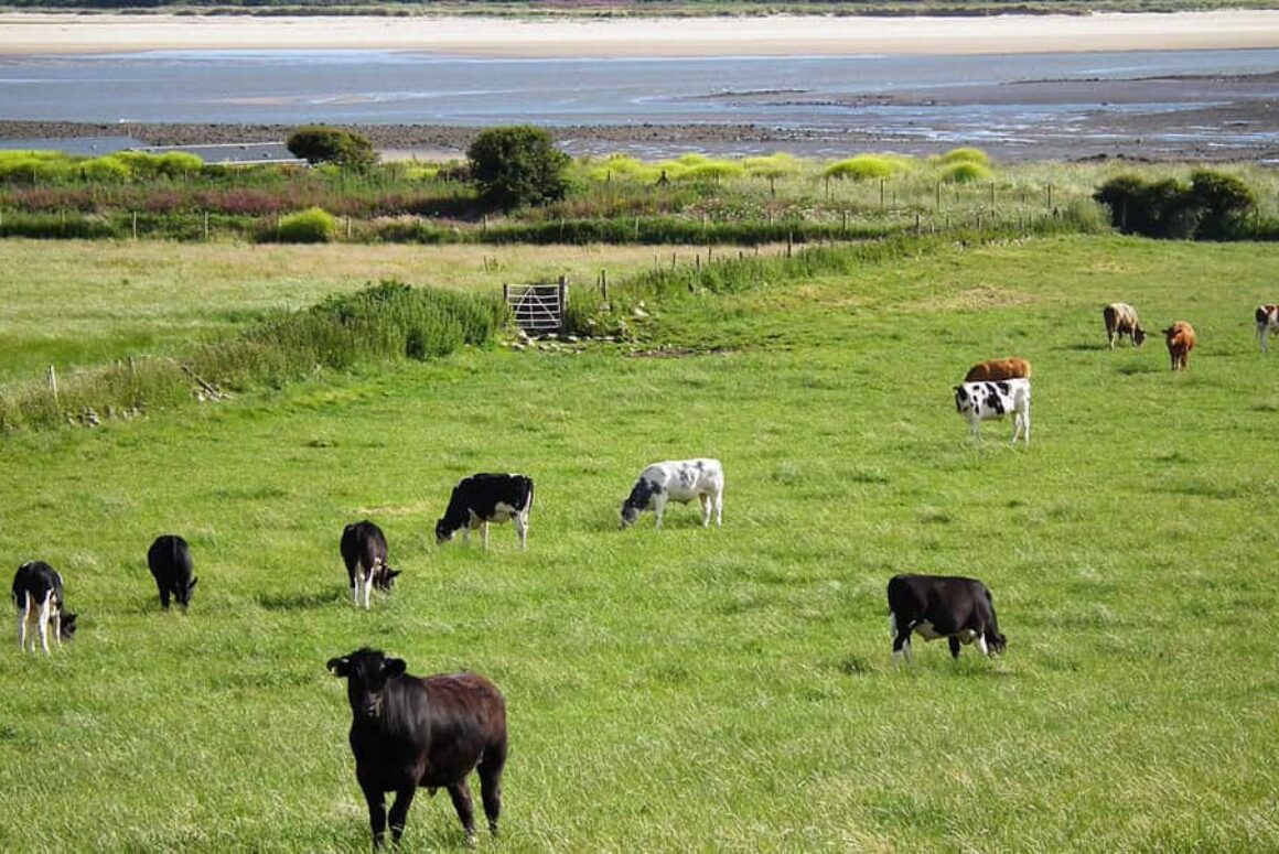 Call for Welsh Government to Ensure Payments to Farmers Lead to Better Public Access