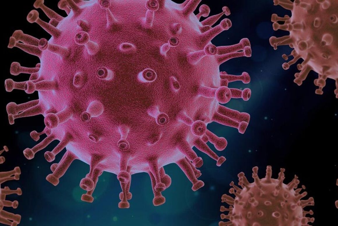 Swansea Trading Standards Issue Coronavirus Scam Warning