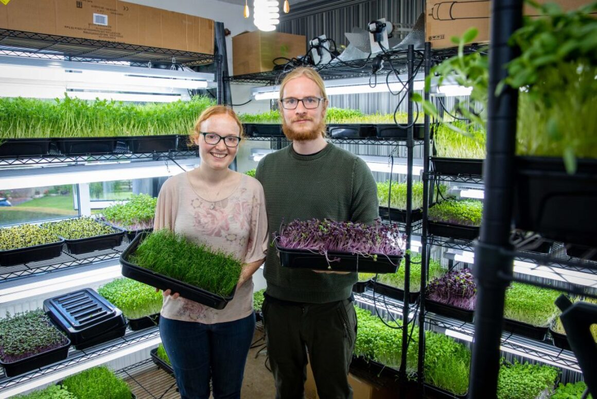 Homegrown Food Makes a Comeback as the Pandemic Changes Everything