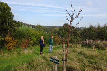 How Horticulture Wales is supporting its members through Coronavirus and beyond