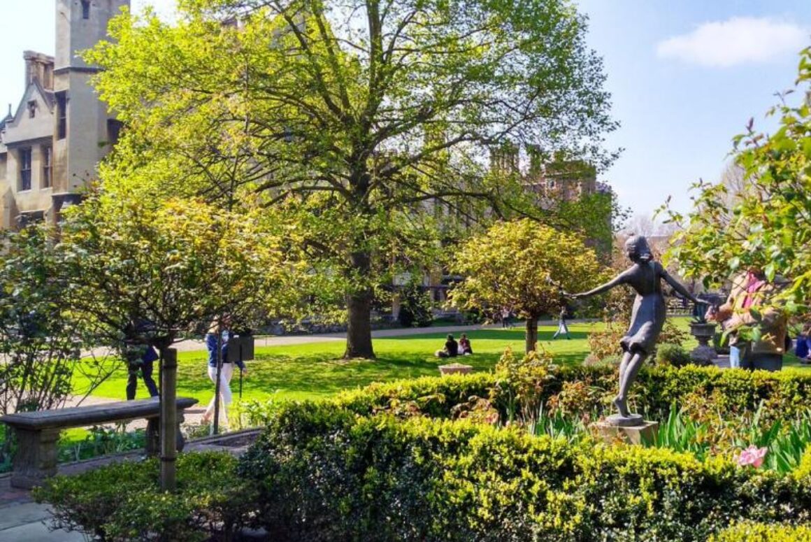 Archbishop of Canterbury Gives Access to Palace Garden to Health Workers at St Thomas’s Hospital
