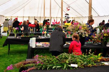Virtual Llanfyllin Show Planned for August 8 Due to Pandemic Restrictions