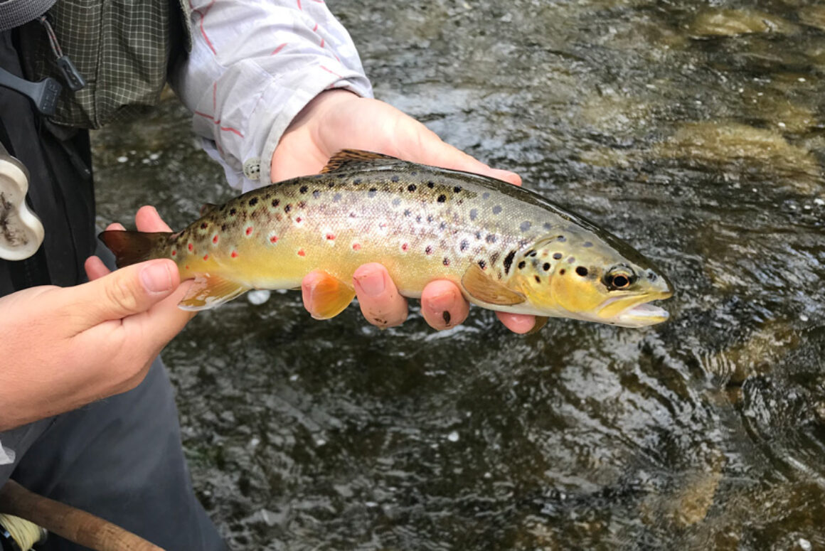 Fishing Wales in the Year of the Outdoors