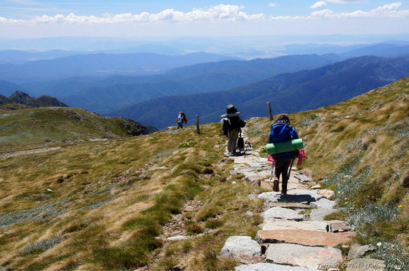 5 Outdoor Activities That Have Surprising Levels of Youth Participation