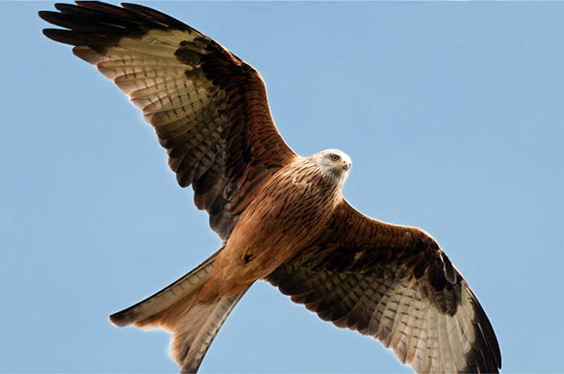 5 Outdoor Activities That Have Surprising Levels of Youth Participation