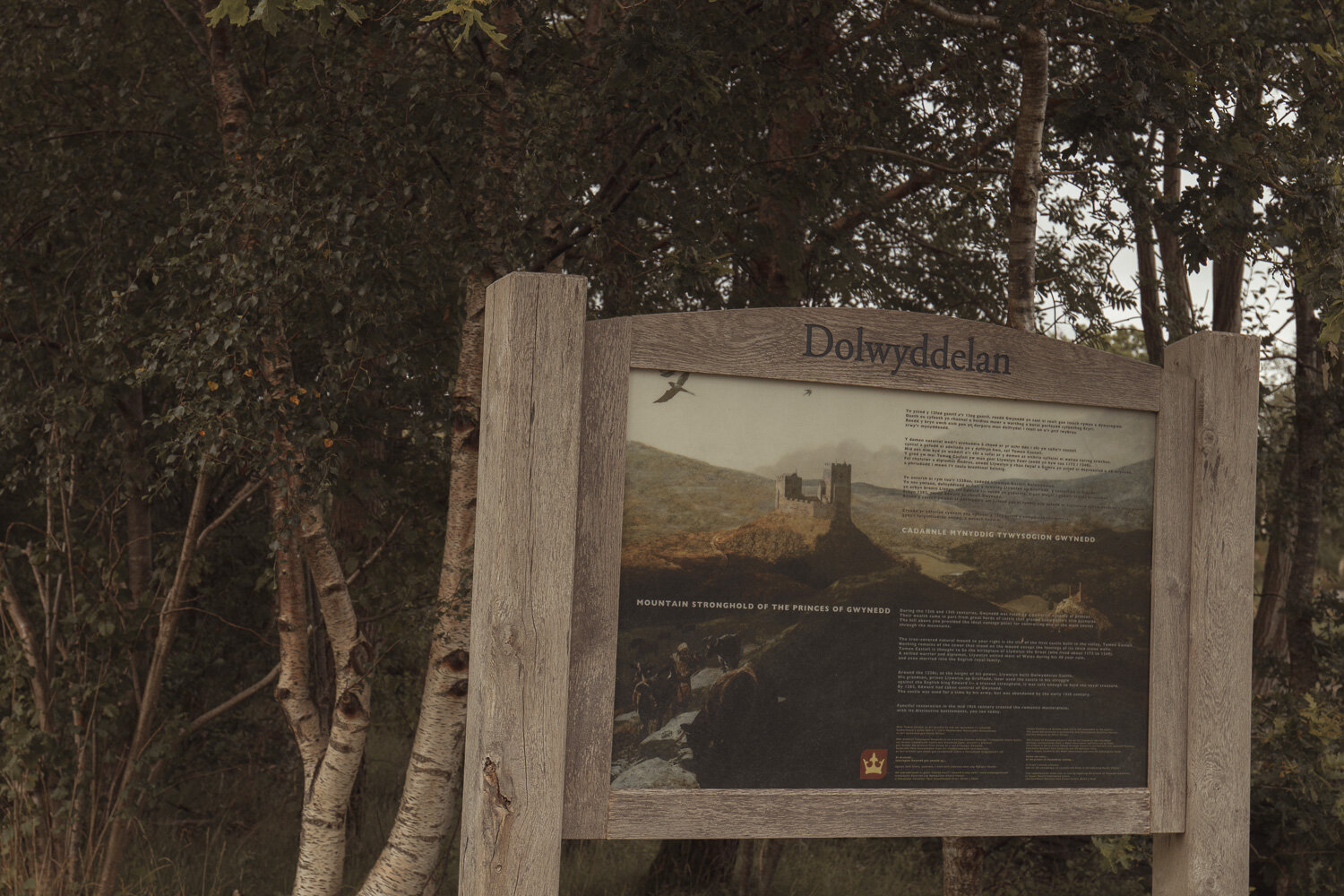 36 Hours in: Snowdonia by Brad Carr