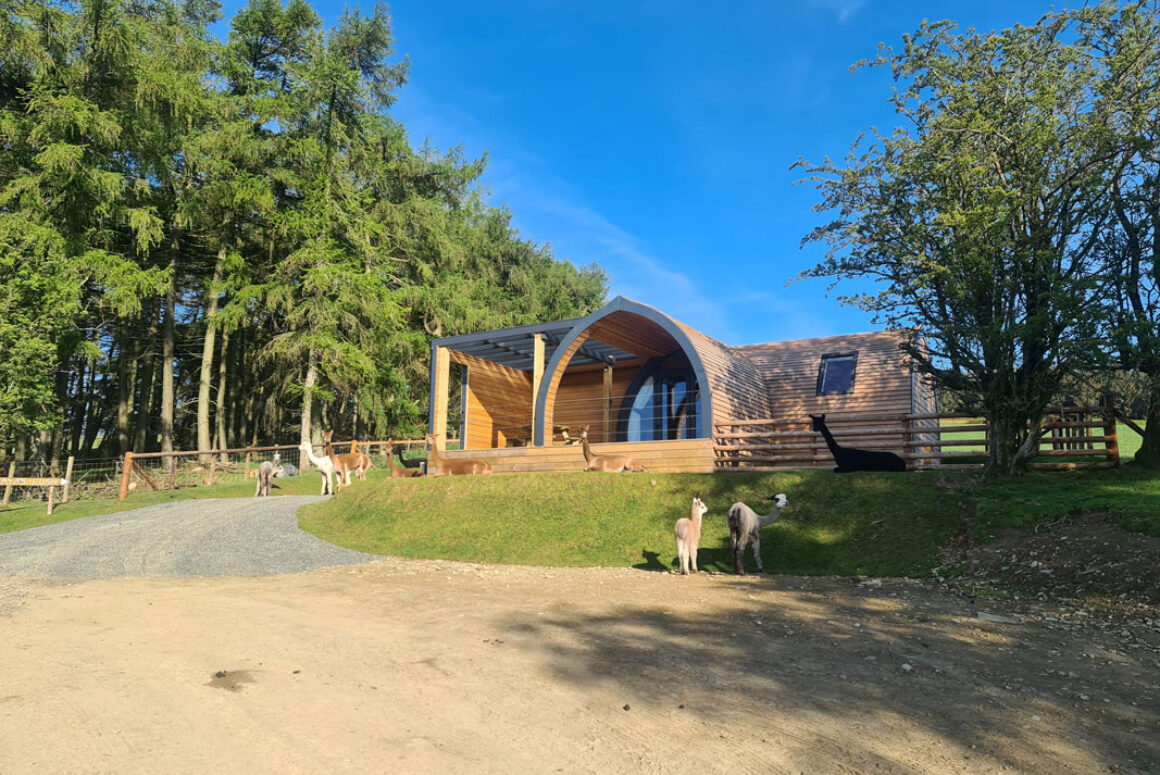 A Brand New Pod at Hush Hush Glamping