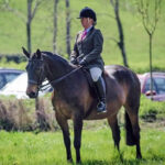 Virtual Llanfyllin Show Declared a Great Success