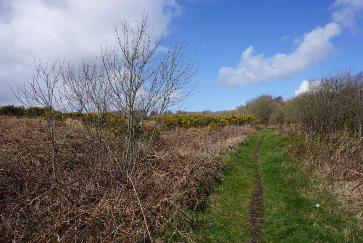 Open Spaces Society Calls for a New Fee for Common-Land Swaps