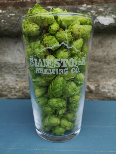 Fourth Annual Community Green Hop Brew Day