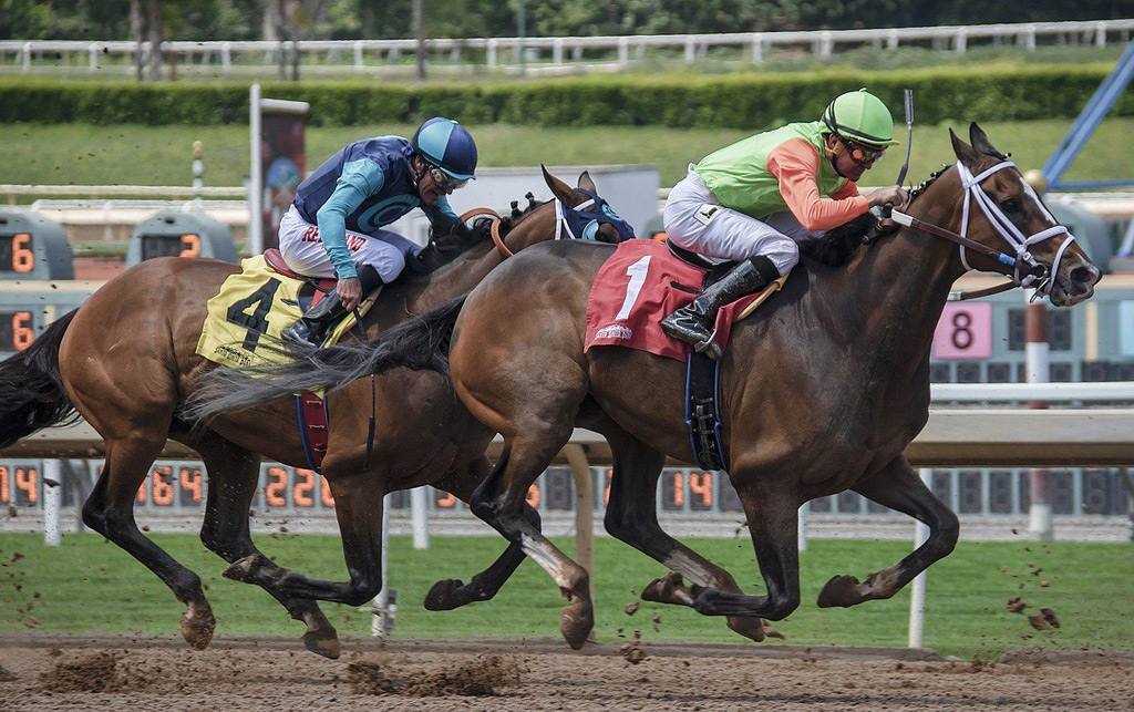 Wales’ impact on British horse racing