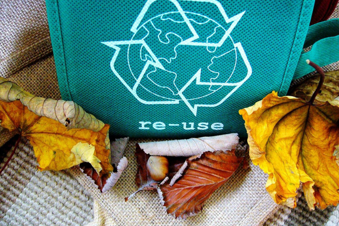 Powys County Council Calls On Residents To Recycle