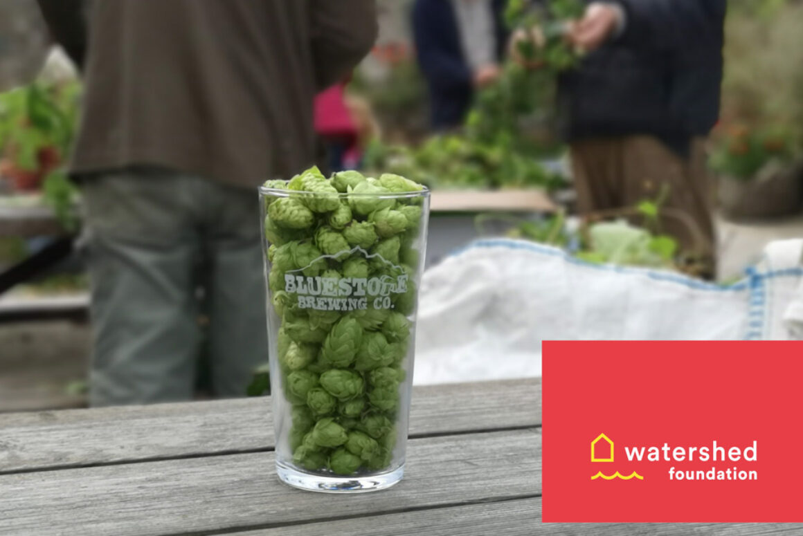 Fourth Annual Community Green Hop Brew Day