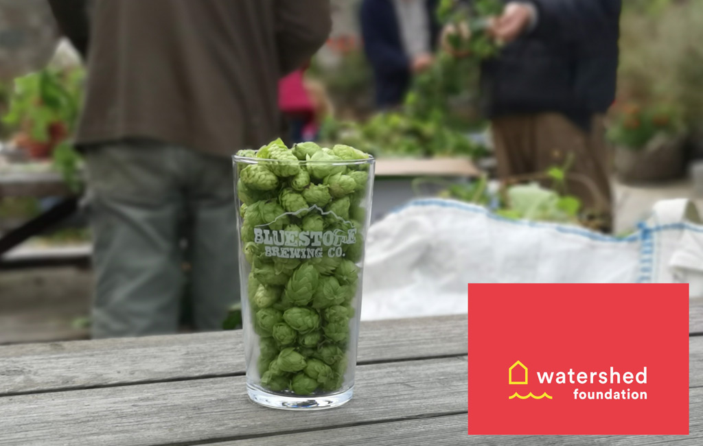 Fourth Annual Community Green Hop Brew Day