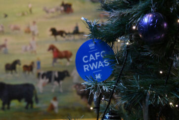 The Winter Fair Christmas Shopping Platform Launches