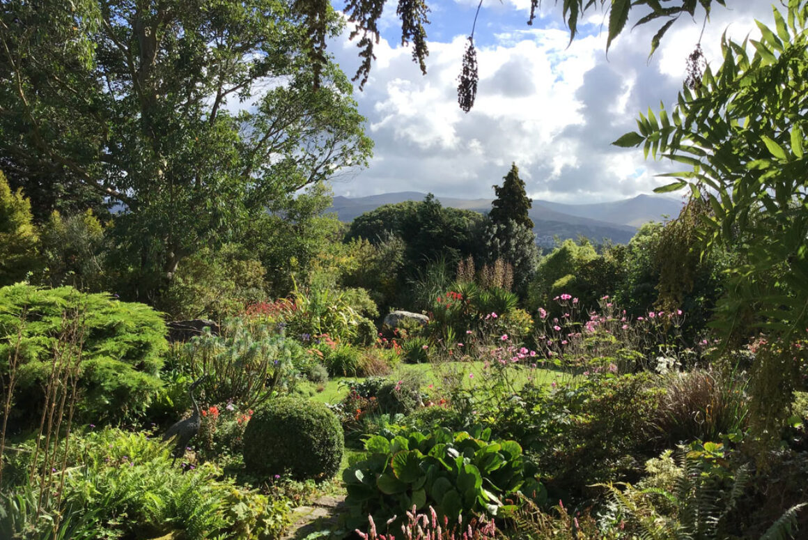 The Early Winter Garden