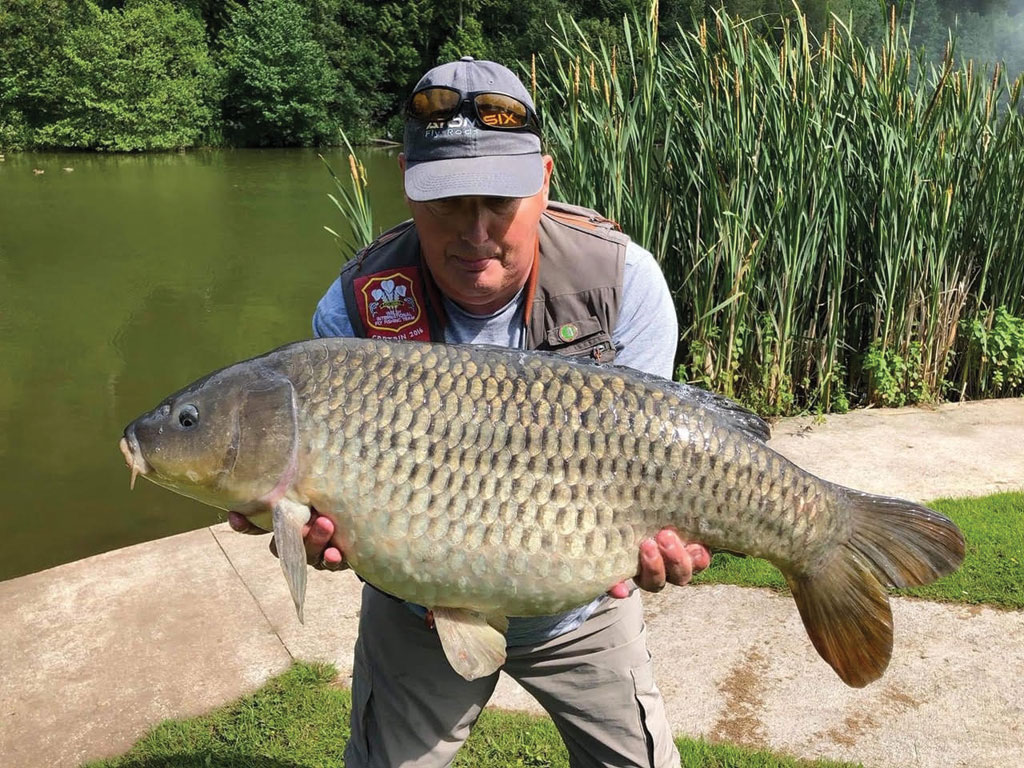 Carp taken on the fly