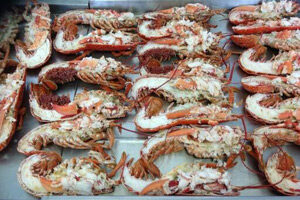 Best Of Welsh Food & Drink Quick Directory | Welsh Country