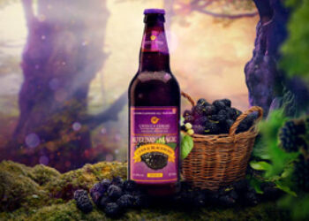 Gwynt Y Ddraig Cider