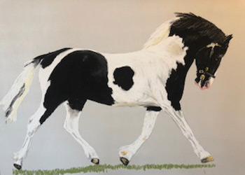 Olwen Jones