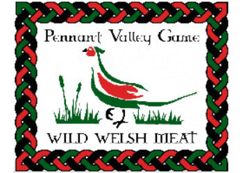 Pennant Valley Game