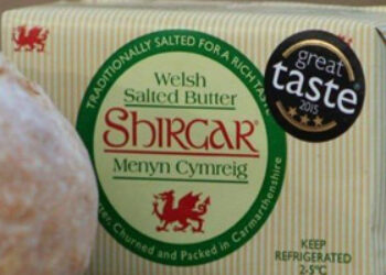 Shirgar