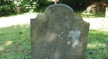 Stories In Stone