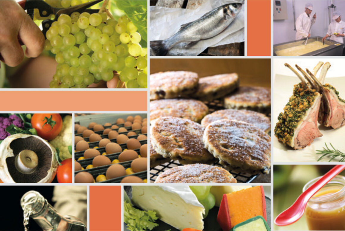 How Effective are National Food Strategies? The Example of the UK
