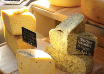 Teifi Cheese