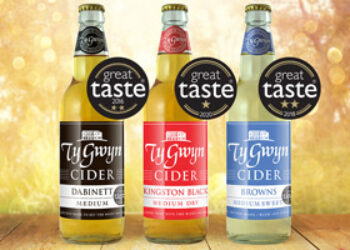Ty Gwyn Cider