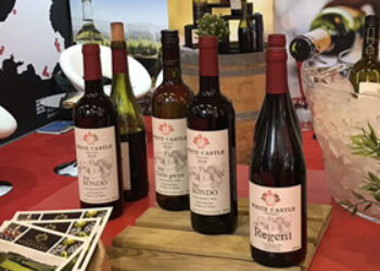 Whitecastle Vineyard