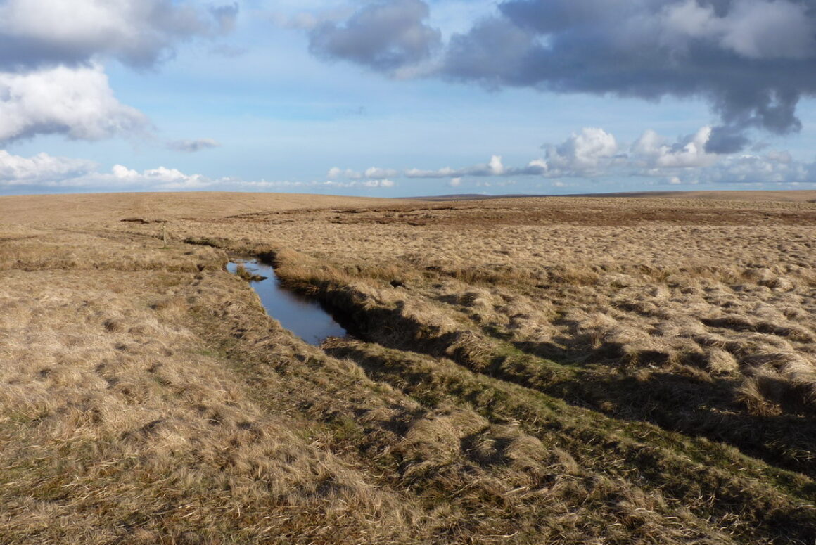 Monks Trod Consultation