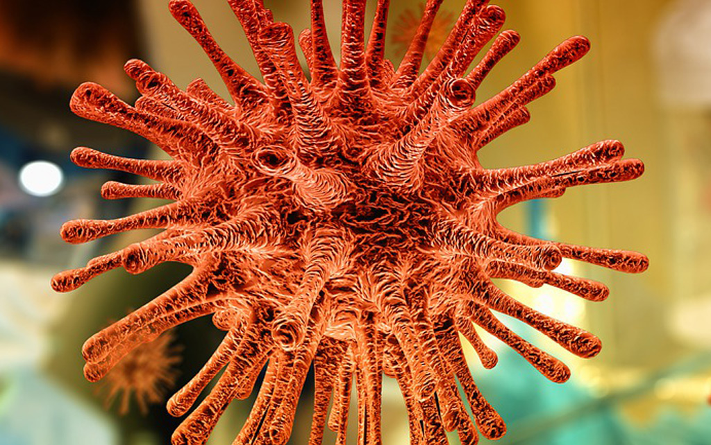 Coronavirus is circulating in rural Powys