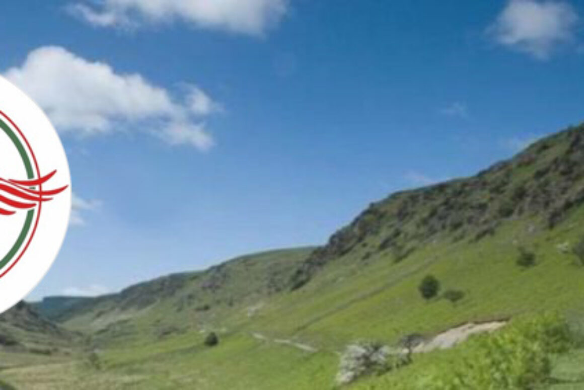Llanwrtyd Wells Community Transport – General Managers Report 2020