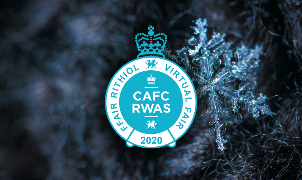 Royal Welsh Winter Fair Exceeds All Expectations