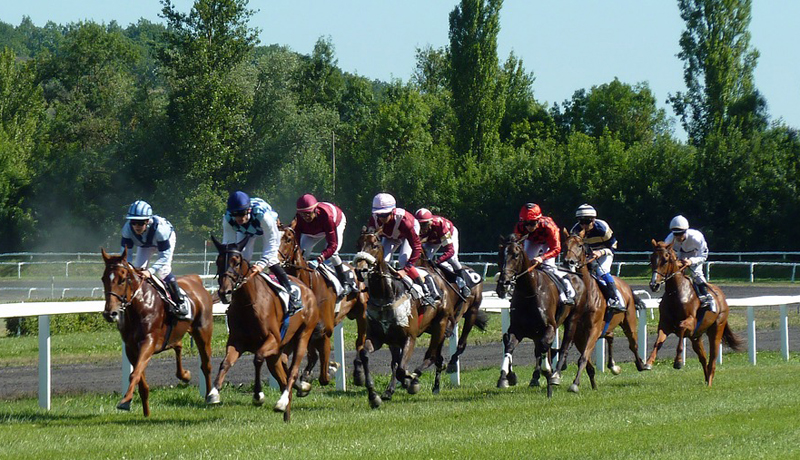 horse-race-1665688_1280