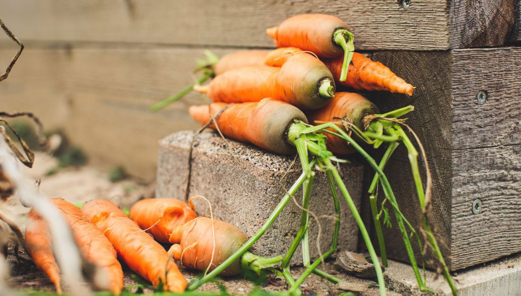 Why we should prioritise eating fresh local produce in 2021