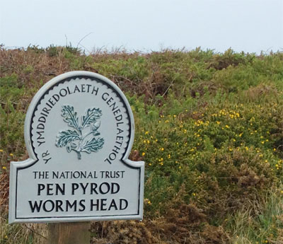 Pen Pyrod | Gillian-Thomas