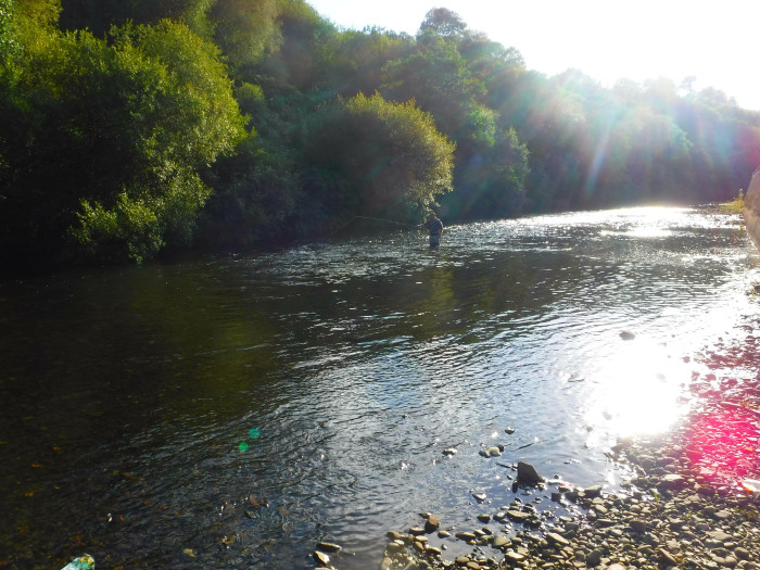 Fly Fishing in Wales with Tony Mair