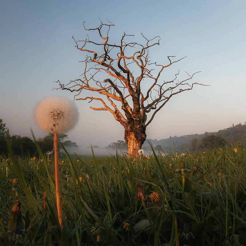 Ten Top Tips To Improve Your Landscape Photography by Brad Carr