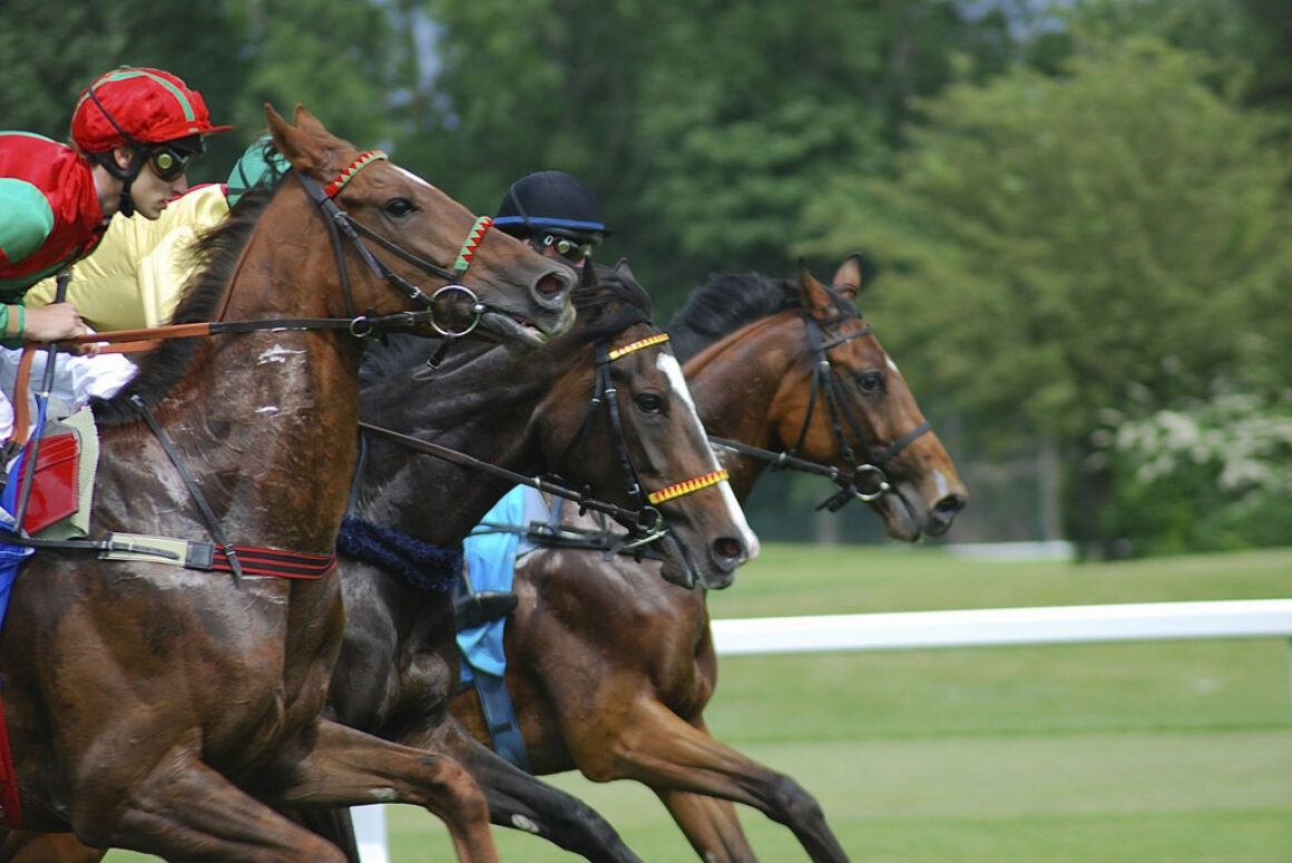 Top 5 Gambling Venues You Can Visit in Wales in 2021