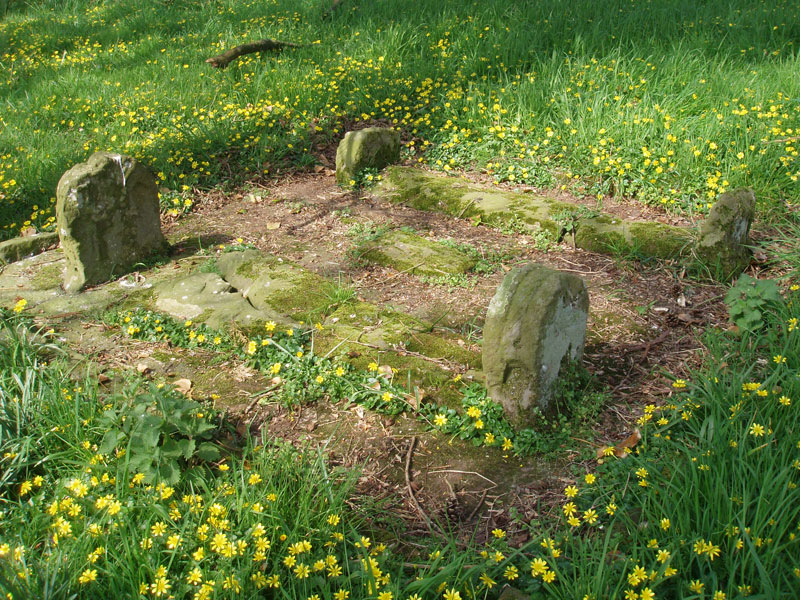 Six Graves at Llanfihangel Abercowyn