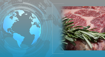 FoodNewsC