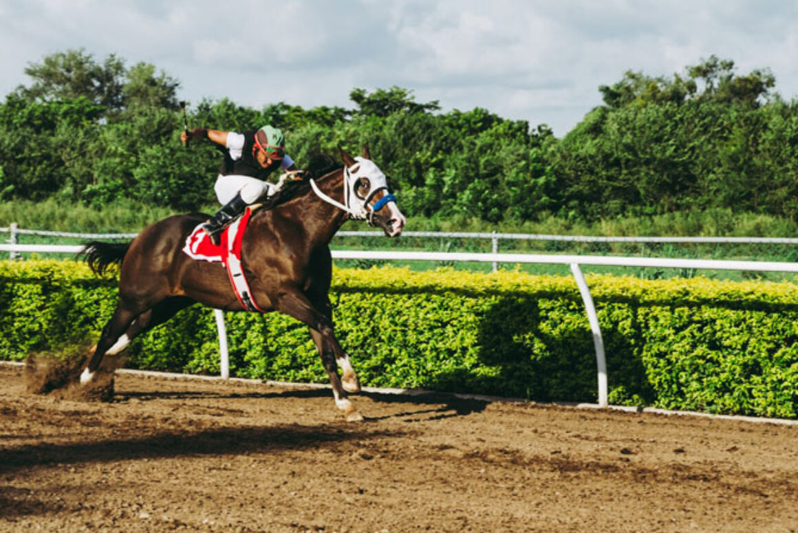 The Three Picturesque Horse Racing Venues That You Should Check Out in Wales