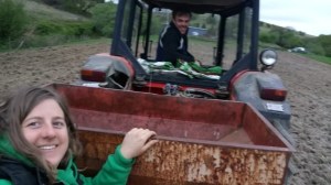 From Community Gardens To Public Procurement, Homegrown Food Provides Value